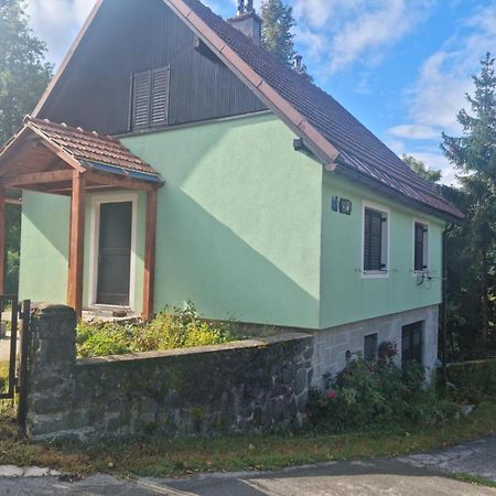 Forest Chalet Zalesina Extérieur photo
