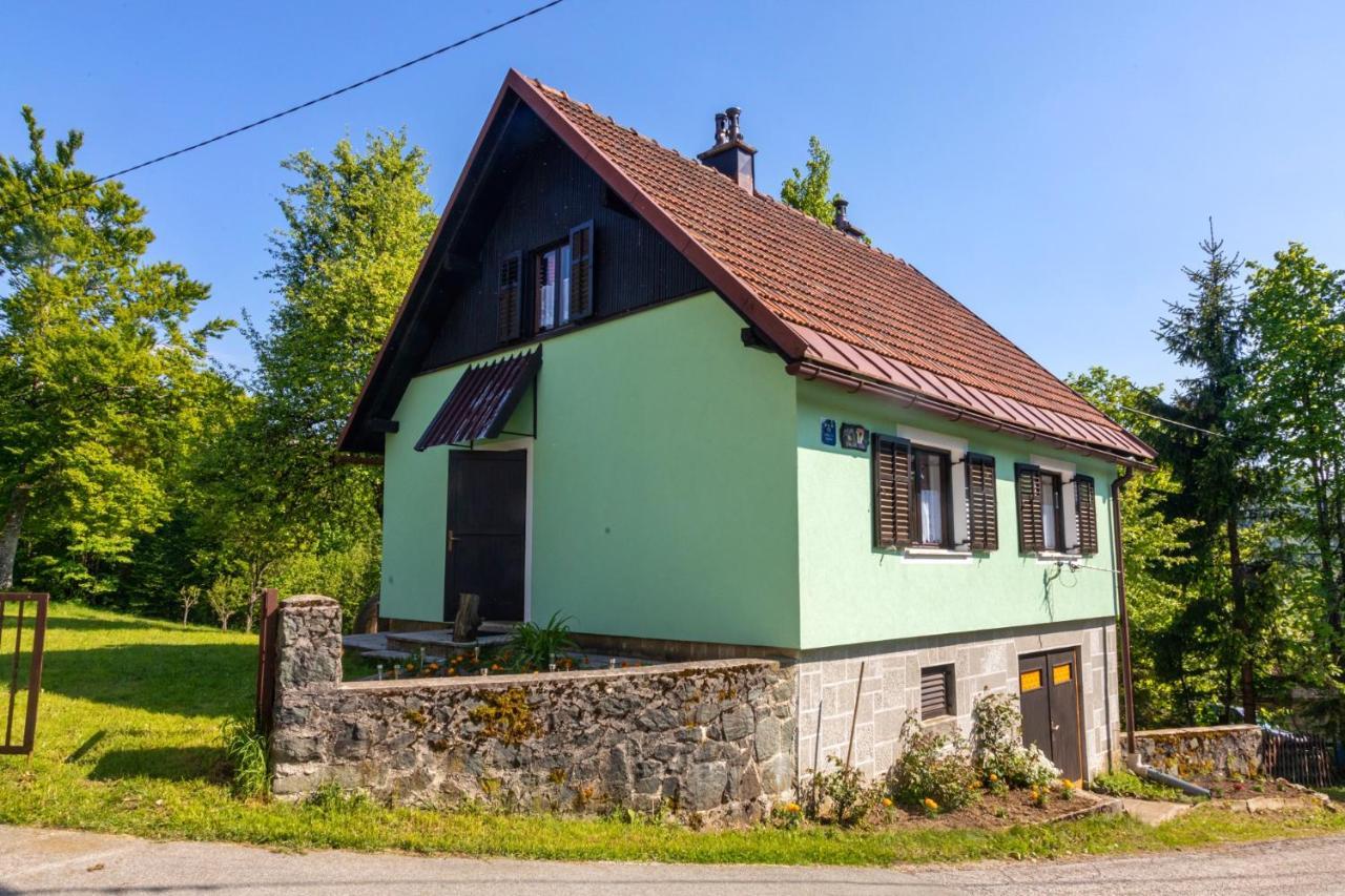 Forest Chalet Zalesina Extérieur photo