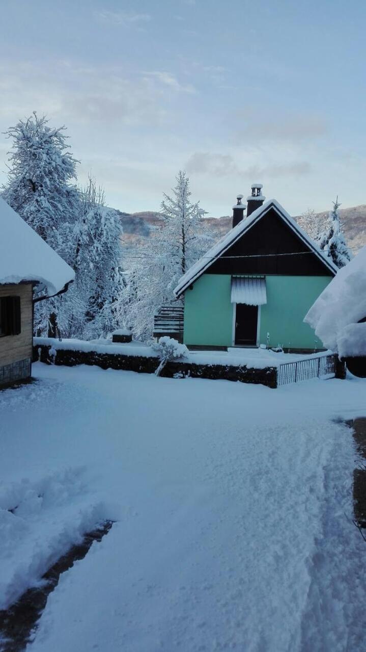 Forest Chalet Zalesina Extérieur photo